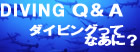 ダイビングってなあに?
