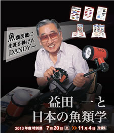 益田 一 と日本の魚類学 特別展