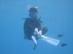 中性浮力の練習